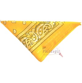 Bandana rouge 53 x 53 cm