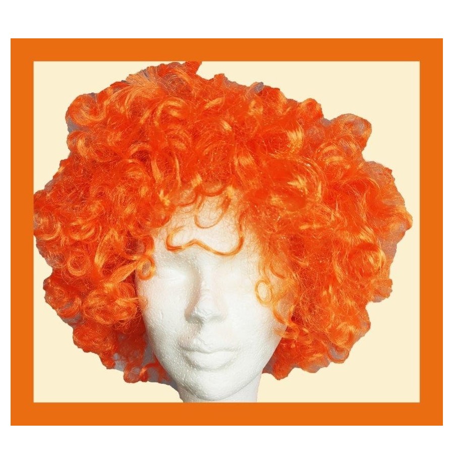 Perruques Afro 120grs (Couleurs au choix)