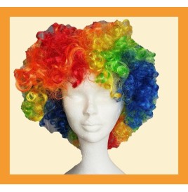copy of 12 Perruques Afro 120grs