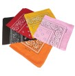 25 Bandanas assortis