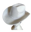 Chapeau cow-girl feutre rose