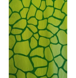 Feuille crépon imprimé Tortue 2m x 0.50