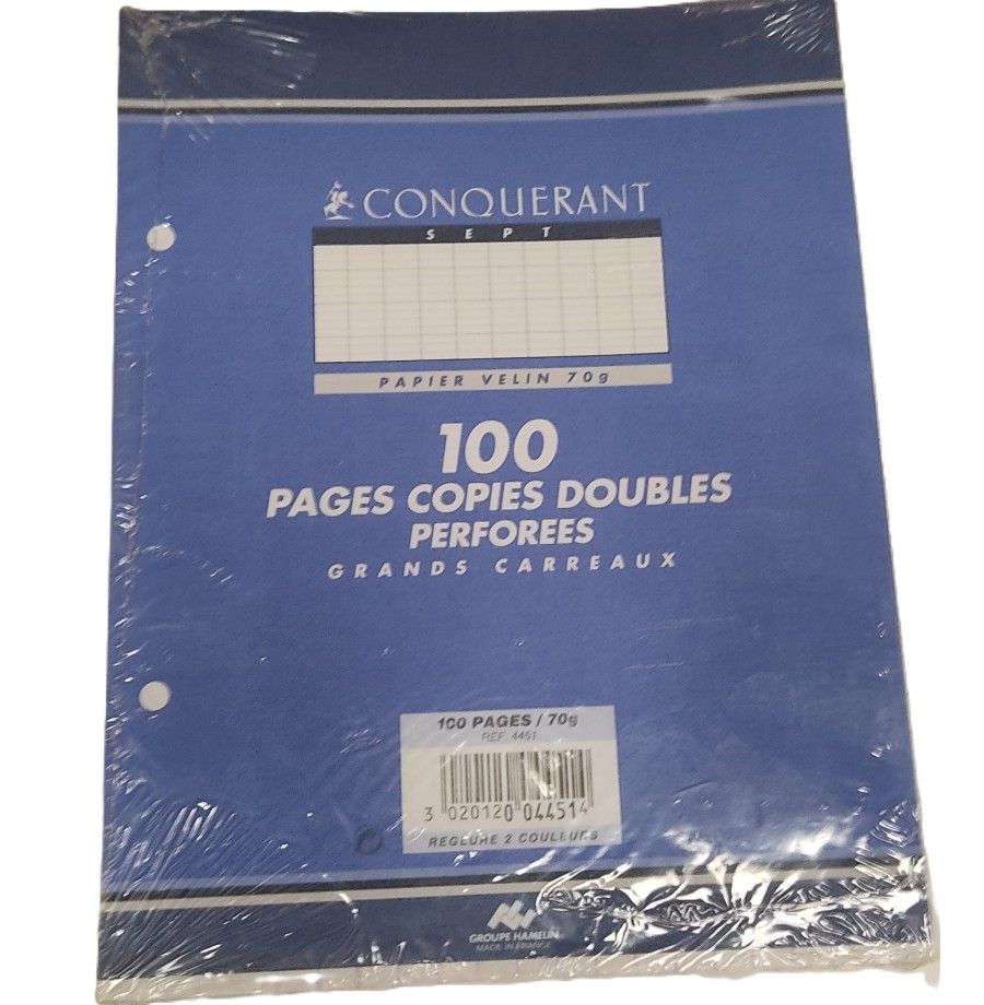 100 copies doubles perforées 17x22 séyès blanc