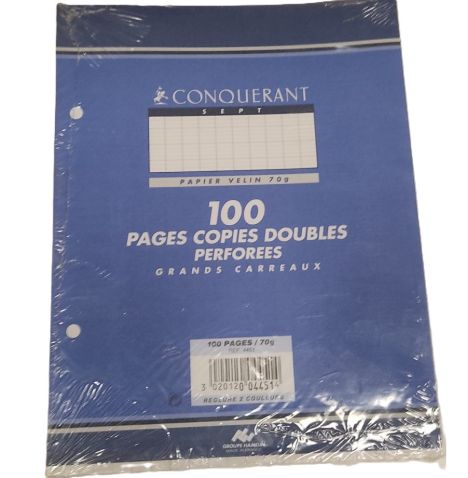 100 copies doubles perforées 17x22 séyès blanc