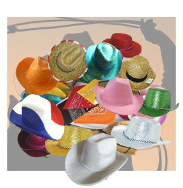 Lot de Chapeaux Cow-Boy Assortis – Ambiance Country & Western