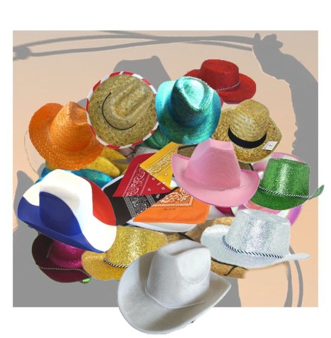 Lot de Chapeaux Cow-Boy Assortis – Ambiance Country & Western