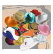 Lot COUNTRY 30 chapeaux assortis