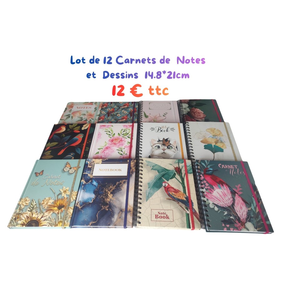 Lots de 12 Carnets Notes et Dessins