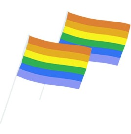 Drapeau arc en ciel papier 14 x 20 cm  les 50