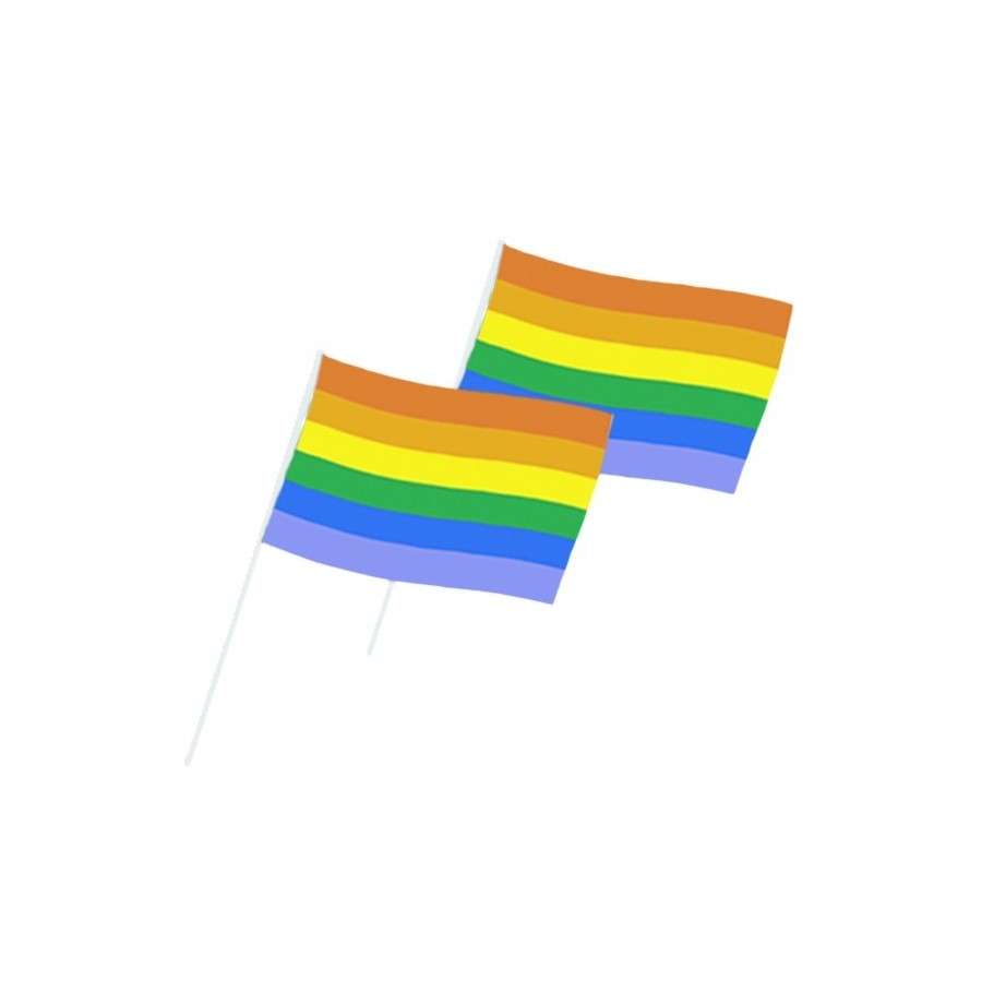 Drapeau arc en ciel papier 14 x 20 cm  les 50