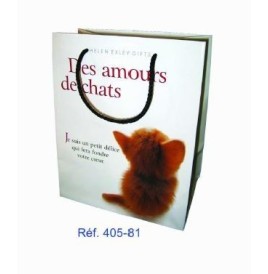 Sac Cadeau Chat 24 x 19 x 12 cm