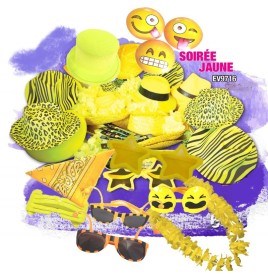 Lot de 43 Accessoires Jaunes – Chapeaux, Lunettes, Colliers, Perruque