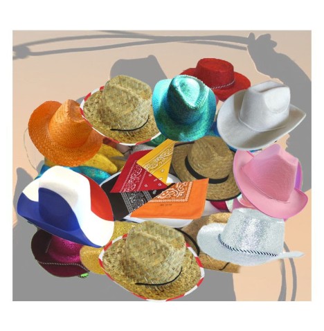 Lot de Chapeaux Cow-Boy Assortis – Ambiance Country & Western
