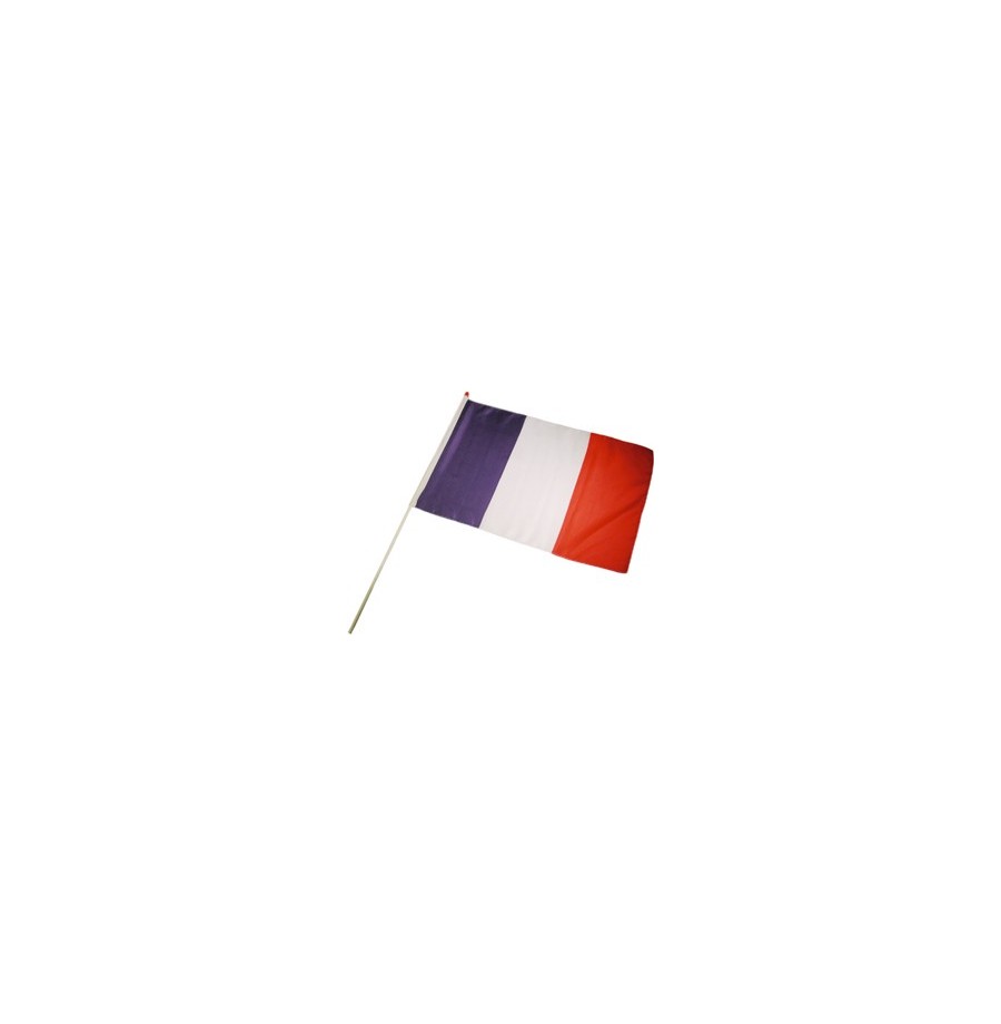 Drapeau  France  Tissu par 10    14 x 21 cm