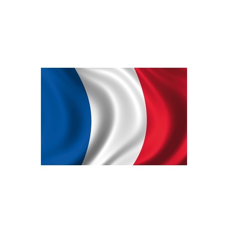 Drapeau France 90 x 150 - France / Supporters  pas cher