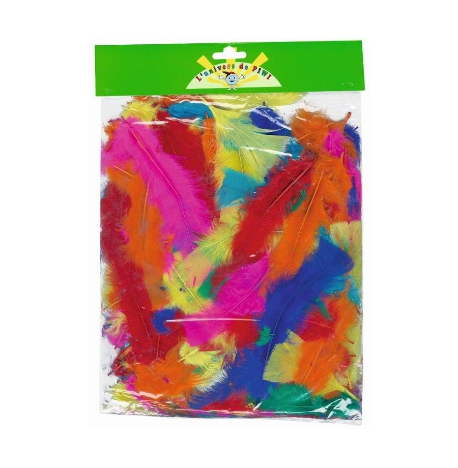 Sachet plumes assorties 25 grammes