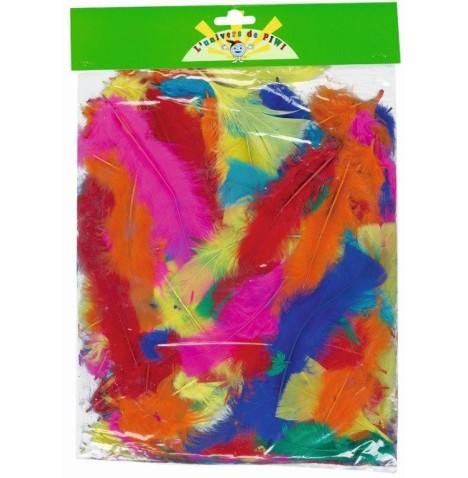 Sachet plumes assorties