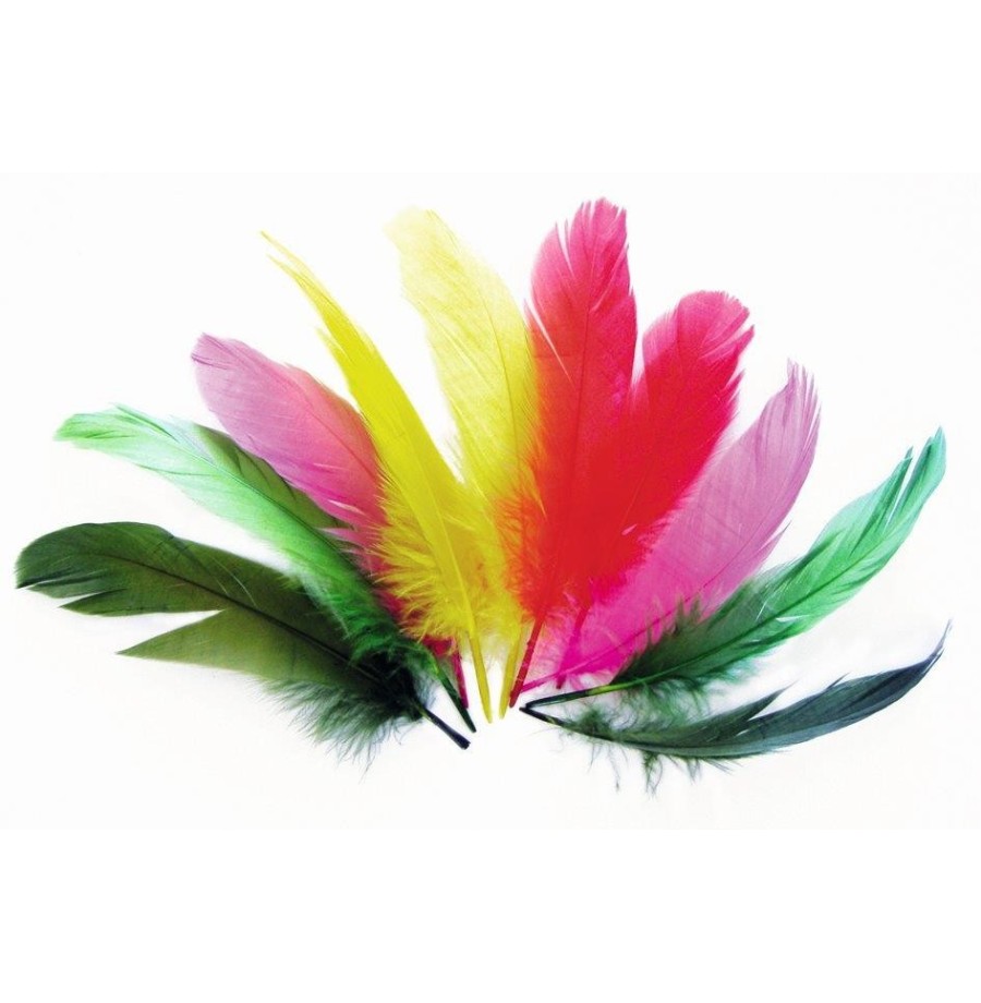 Plumes nageoires d'oie col assortis 20 grs