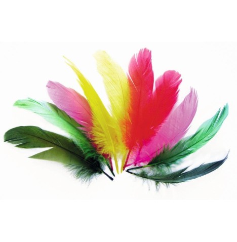 Plumes nageoires d'oie col assortis 20 grs - Raphia - Chenilles - P...