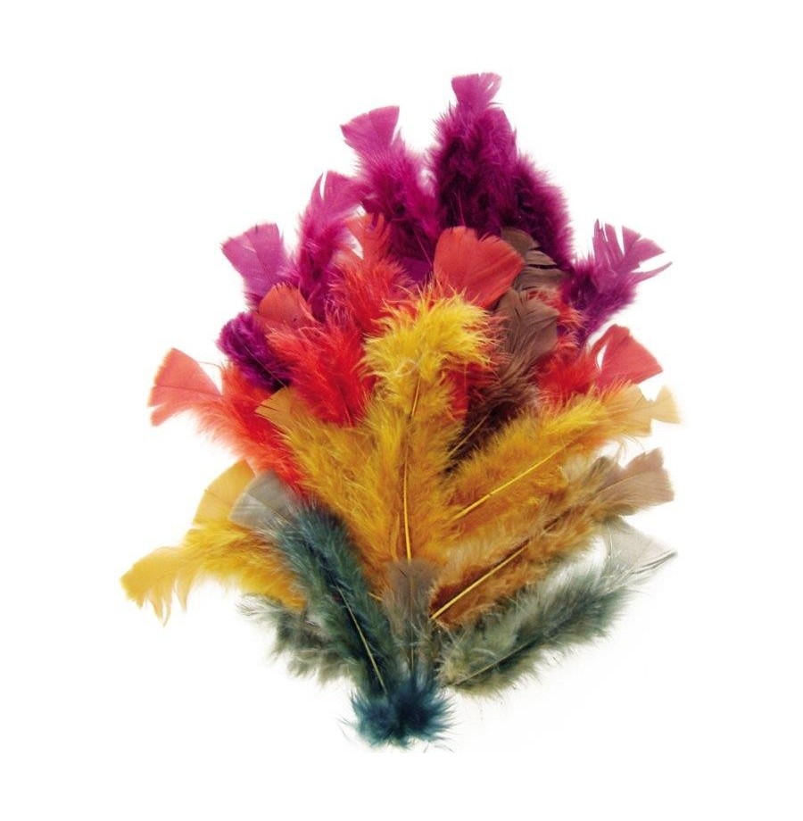 Sachet 150 plumes 'automne'