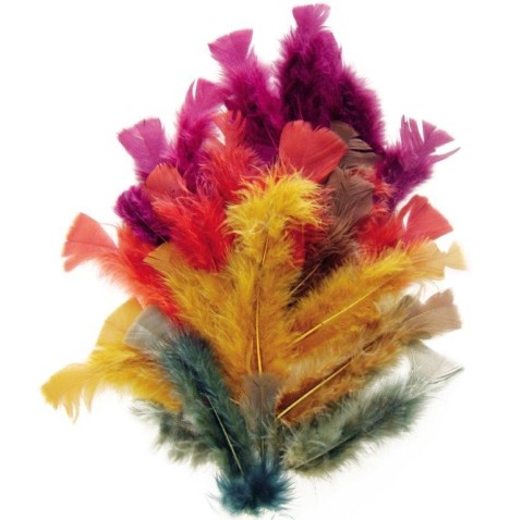 Sachet 150 plumes 'automne' - Raphia - Chenilles - Plumes  pas cher