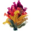 Sachet 150 plumes 'automne'