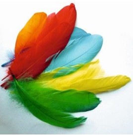 Sachet plumes oie coloris assortis