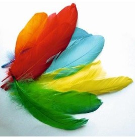 Sachet plumes oie coloris assortis - Raphia - Chenilles - Plumes  p...