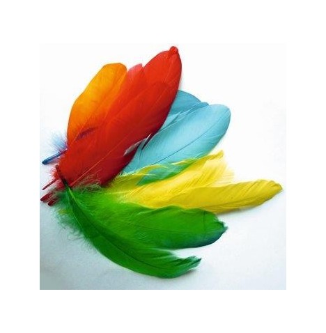 Sachet plumes oie coloris assortis
