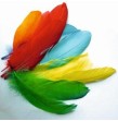 Sachet plumes oie coloris assortis