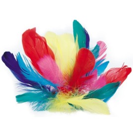 Sachet plumes  Coquille d'oies coloris assorti