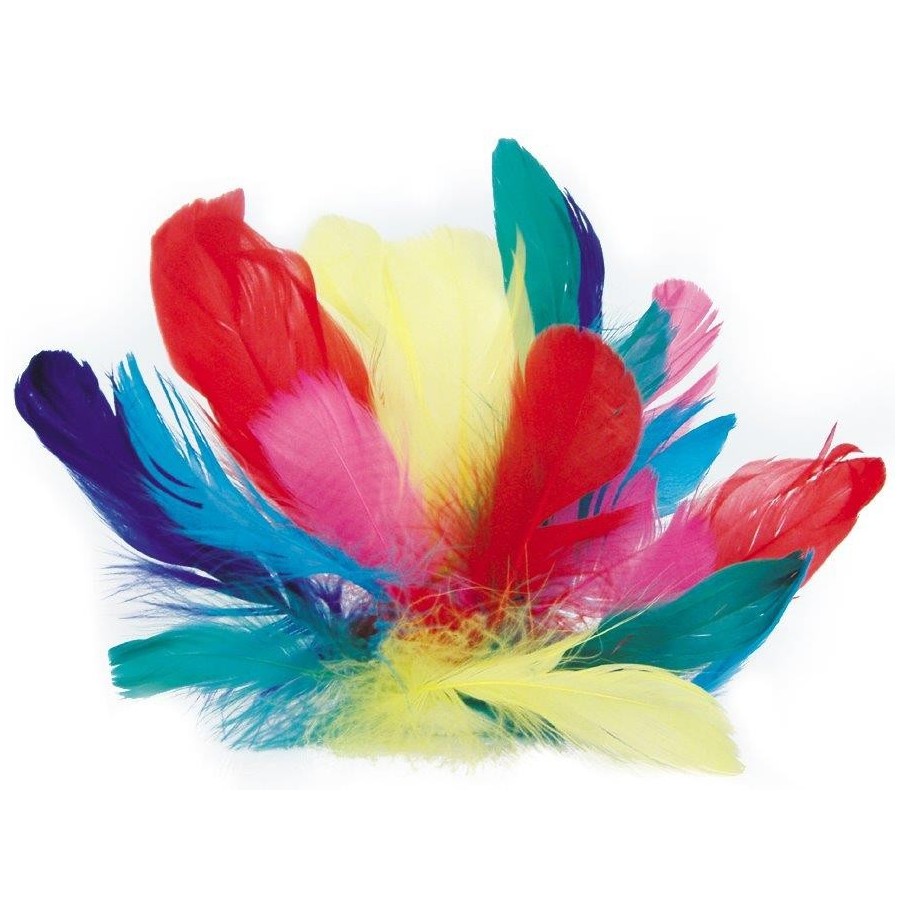 Sachet plumes  Coquille d'oies coloris assorti