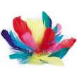 Sachet plumes  Coquille d'oies coloris assorti