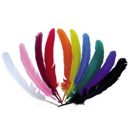 Sachet 10 plumes indien coloris assortis - Raphia - Chenilles - Plu...