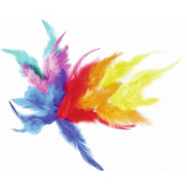 Sachet plumes collet coq coloris assortis - Raphia - Chenilles - Pl...