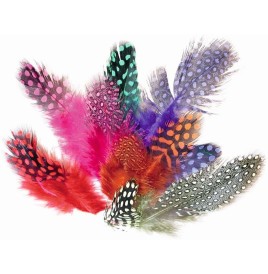 Sachet plumes pintades coloris assortis - Raphia - Chenilles - Plum...