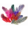 Sachet plumes pintades coloris assortis