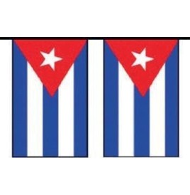 Guirlande cuba 10 m  20 pavillons 20x30 cm