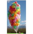 Filet de lâcher de ballons  (Pour 175 ballons)