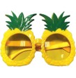 Lunette Ananas