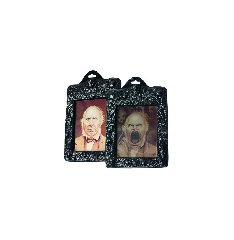 cadre photo Horreur 3D        26 x 20cm