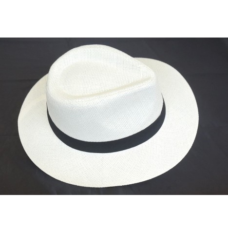 Chapeau Panama