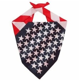 Bandana USA 52X 52 cm 100%coton - Accessoires  pas cher