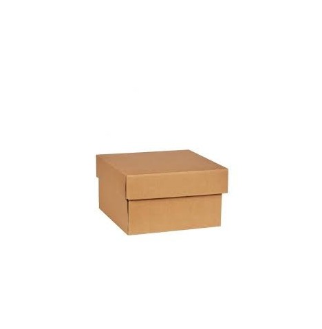 Boite carré carton 20x120x52 mm